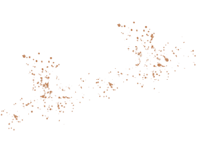 Os Soca Lama